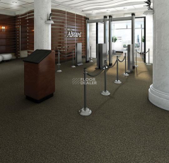 Forbo Coral Marine FR 4204 Santos Brown фото 2 | FLOORDEALER